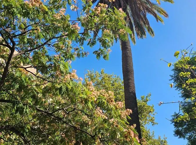 Lounge Garden Sea Mint Fresh *