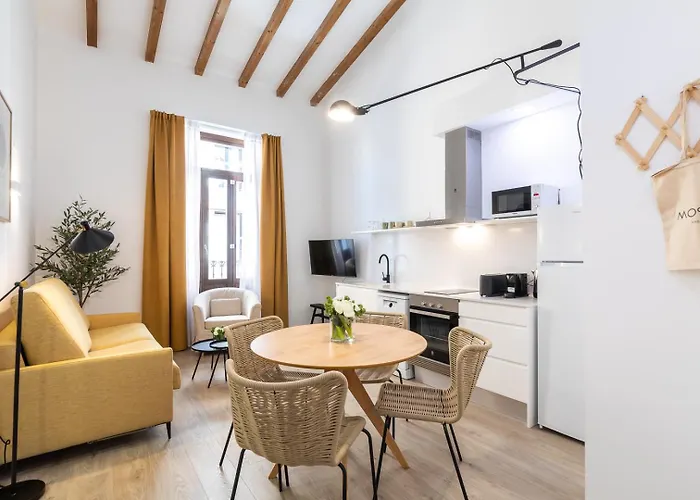 Moontels Plaza De Vannes 公寓 瓦伦西亚