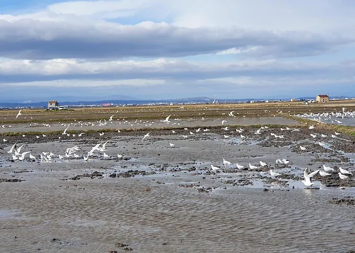 Проживание в семье Cerca Del Centro Валенсия