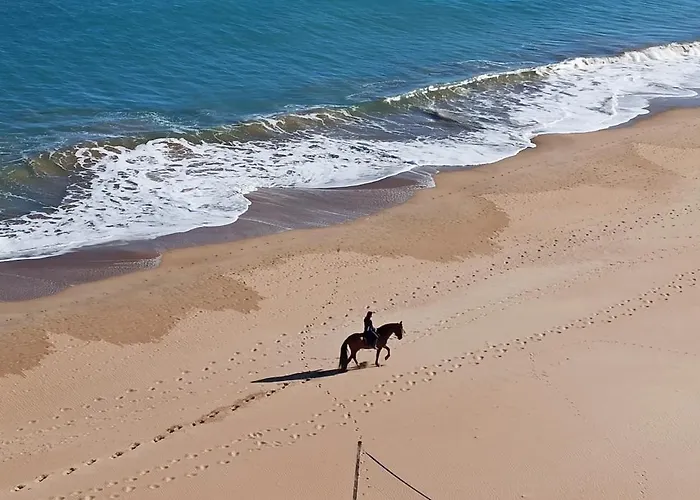 Blue Double Private At Front - En La Playa Piso Compartido *