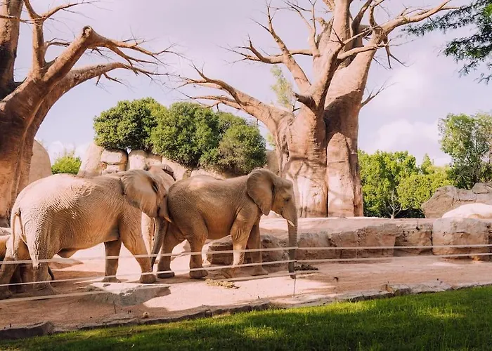 Διαμέρισμα Loft Independiente De Lujo.