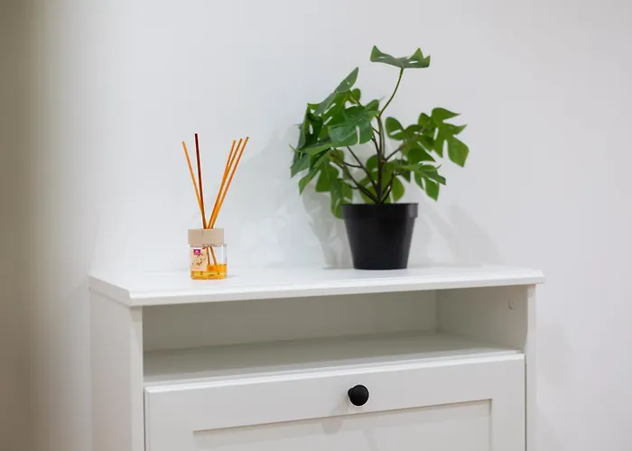 Fivestepstosea - Valencia