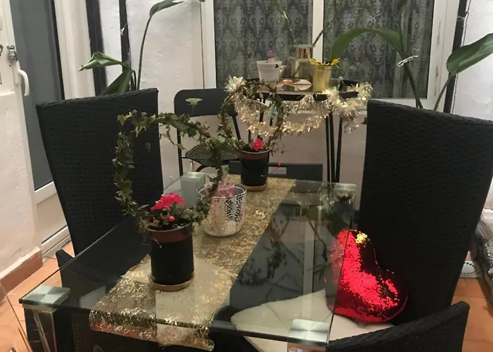 Papillon Валенсия