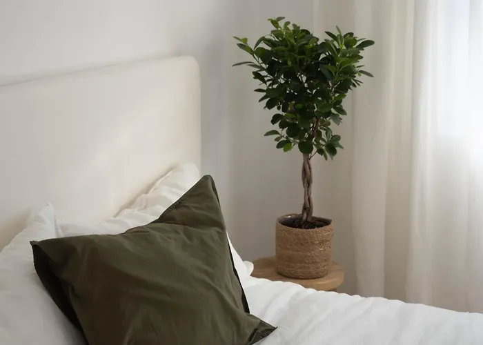 Privat bolig Luxury In Center