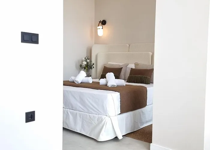 Md Pare Presentat Valencie