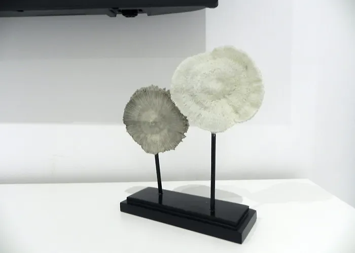 Catalina Downtown 4* فالنسيا