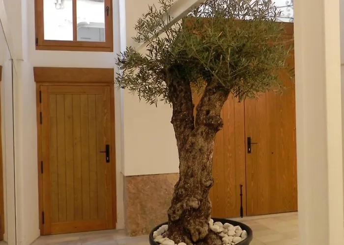 Catalina Downtown 4* فالنسيا