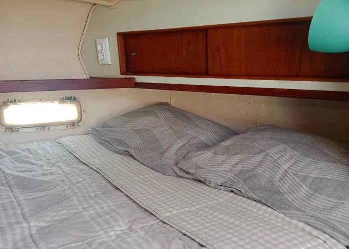 Velero Whimsy Valencia