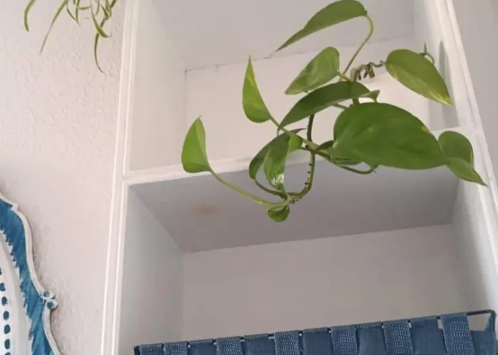 Blue Double Private At Front - En La Playa Piso Compartido Valencia