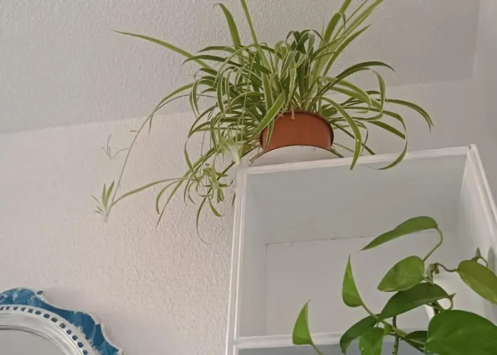 Rum i privatbostad Blue Double Private At Front - En La Playa Piso Compartido