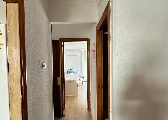 Arts And Sciens Museum/beach *