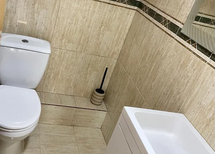 Beautiful Tulip * 발렌시아