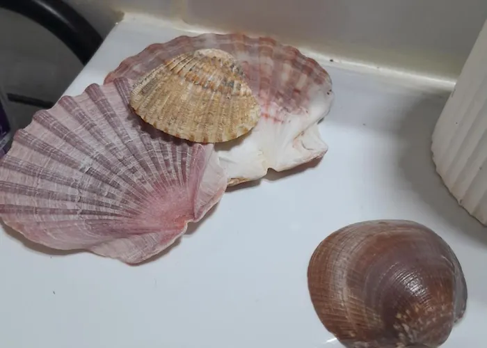 Δωμάτια σε οικογενειακή κατοικία Gemuetliches 