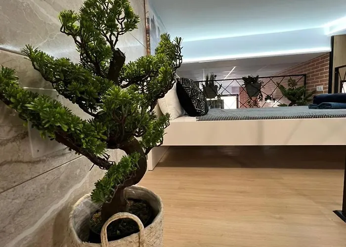 Carcaixent 24 Hotel apartamentowy Walencja