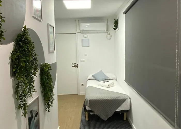 Optimus Comfort * 발렌시아