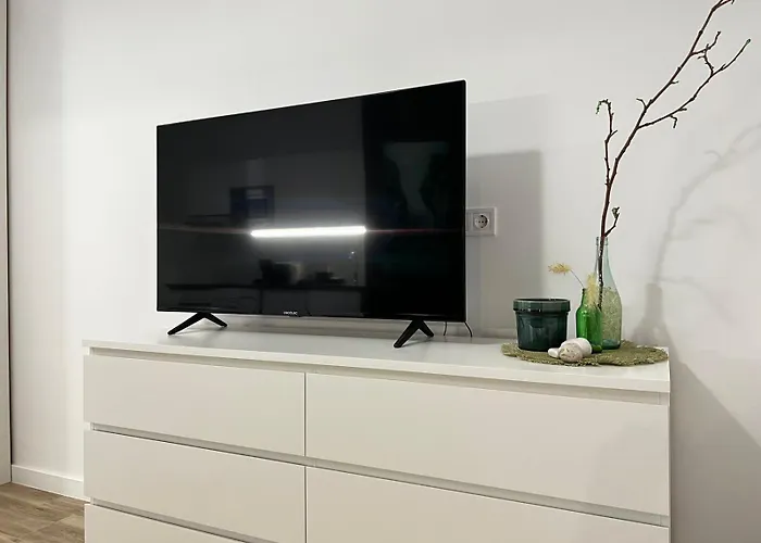 Rodrigues 15 발렌시아