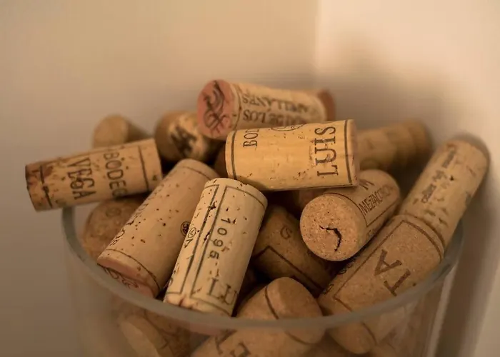 Centrico Y Reformado Con Estilo Βαλένθια