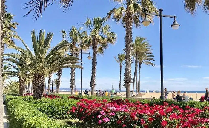 Apartment Delux Valencia