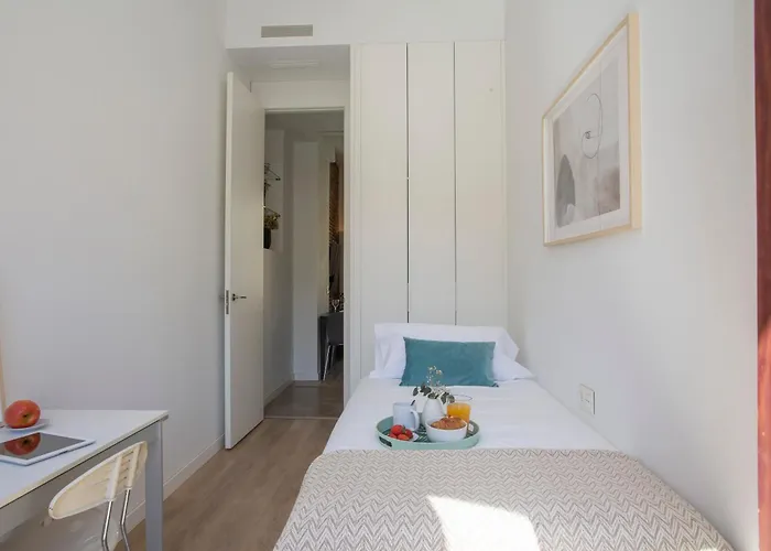 Singularstays Plaza Redonda Ii * 발렌시아