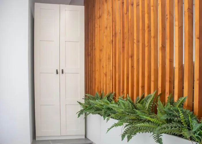 Acogedor Estudio En El Centro De Valencia