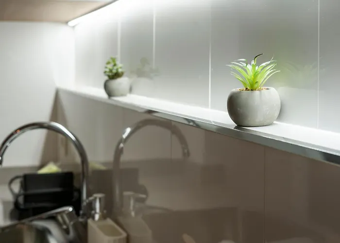 Vlc Host - Ausias March Valencia