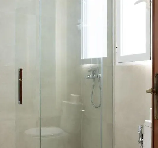 Cardenal 4 발렌시아