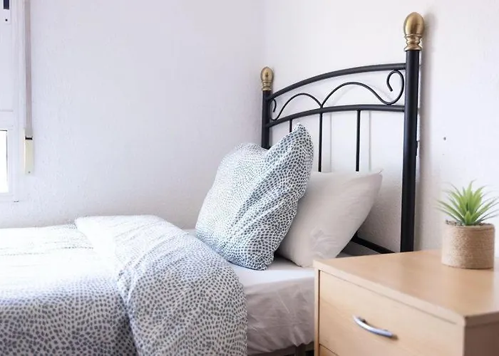 홈스테이 Cardenal 4