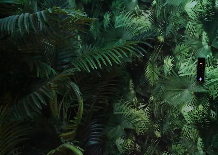 호스텔 The Pod Village 발렌시아