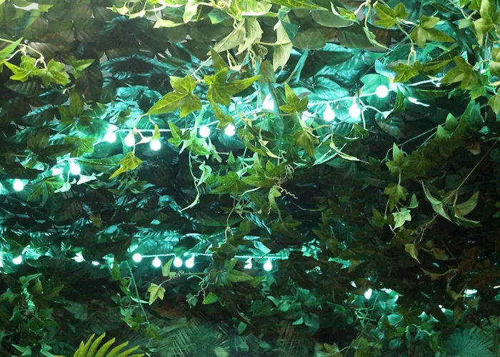 The Pod Village 호스텔 *