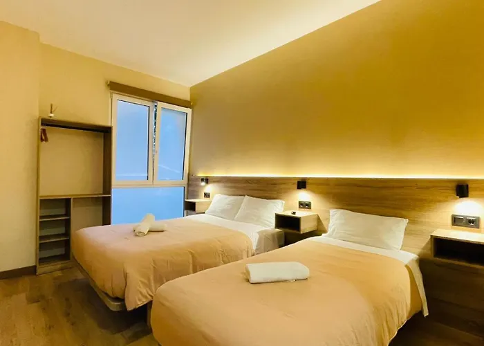 Optimus Comfort Campoamor 101