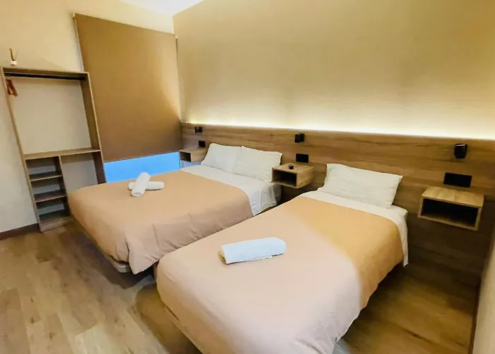 Optimus Comfort Campoamor 101 Guest house