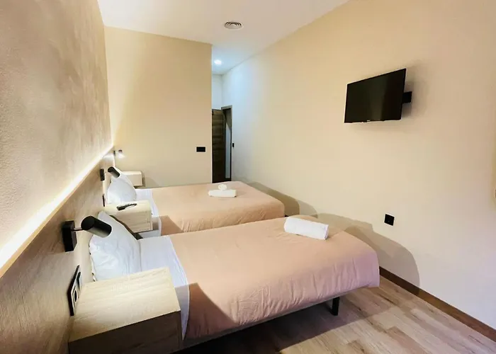 Optimus Comfort Campoamor 101