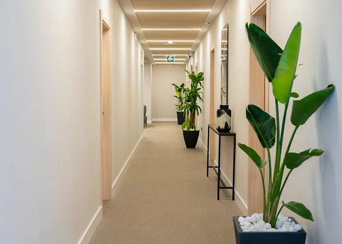 Dorm4you Arena 2 아파트호텔 발렌시아