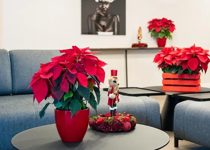 Dorm4you Arena 2 발렌시아