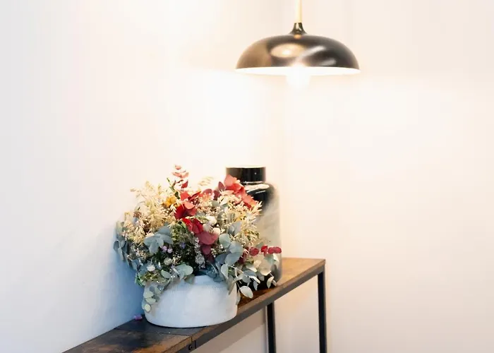 Dorm4you Arena 2 발렌시아