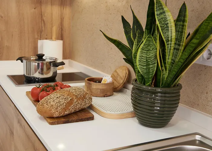 Loft 9b Jaime Ii Valencia