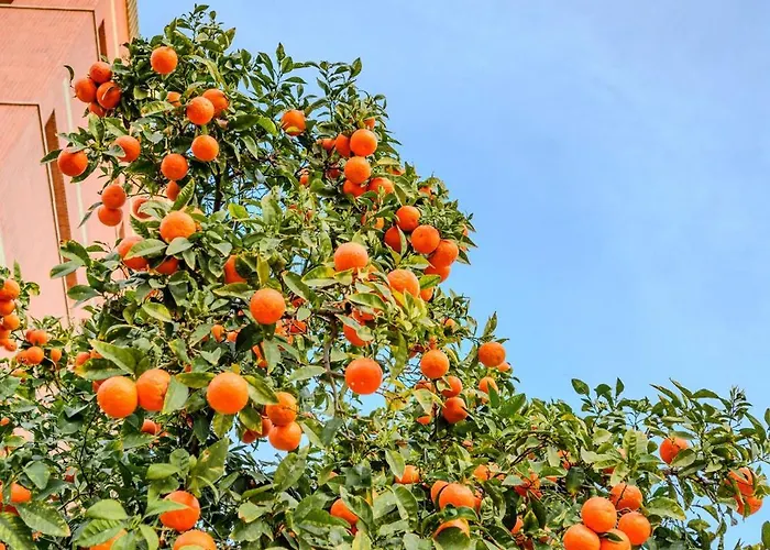 Cabanal House - 10 Min To Ocean , Fastwifi , Smarttv, Ac Apartment