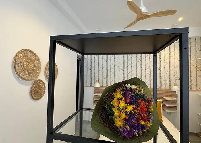 Daire Loft In Valencia, Equipped And Very Well Decorated Valensiya