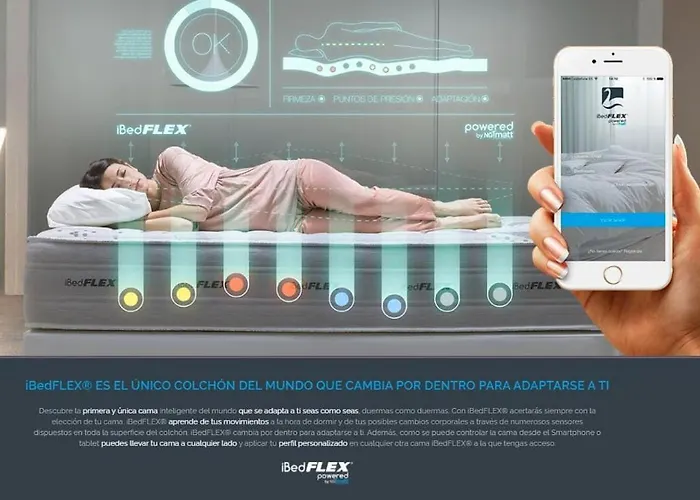 Bear Homes - Olimpia *