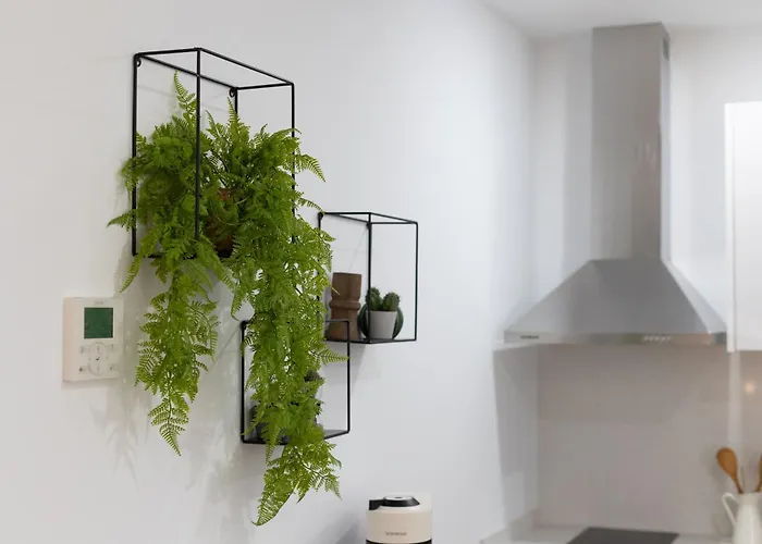 Dorm4you Arena Valencia