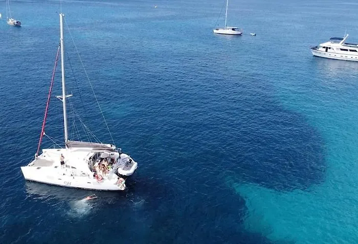 Barco Sobre El Mar *