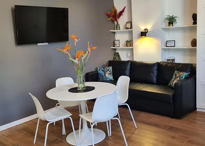 Hlius Brand New 발렌시아