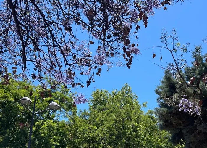 Lounge Garden Sea Mint Fresh Διαμέρισμα Βαλένθια