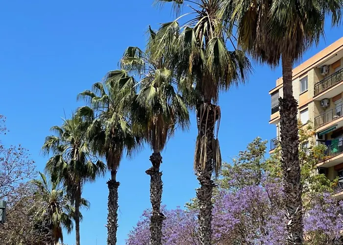 Lounge Garden Sea Mint Fresh