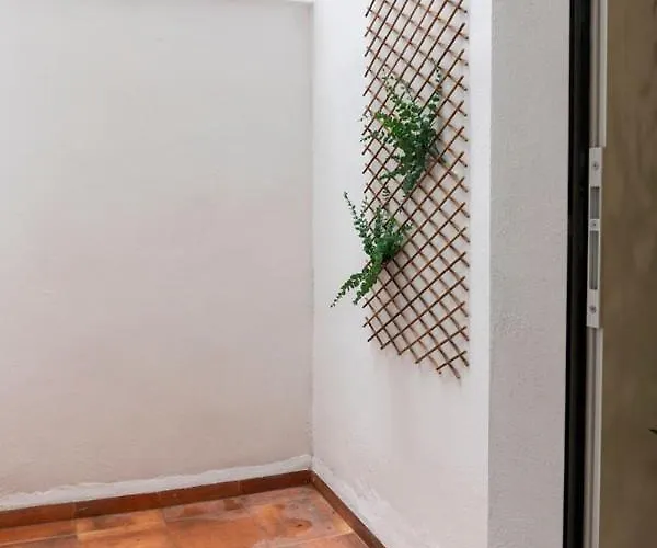 Vlc Host - Alfaro A 발렌시아