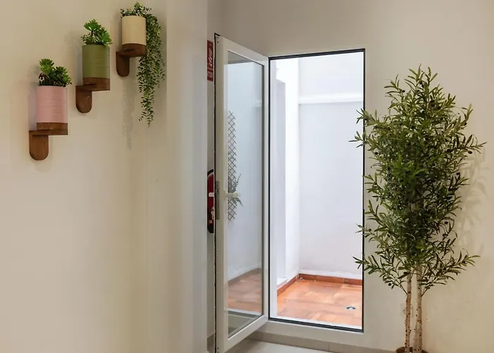 Vlc Host - Alfaro A 발렌시아