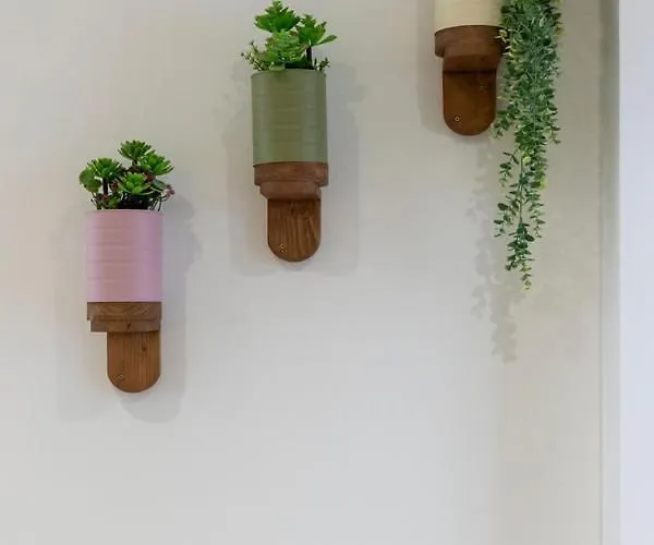 Vlc Host - Alfaro A *