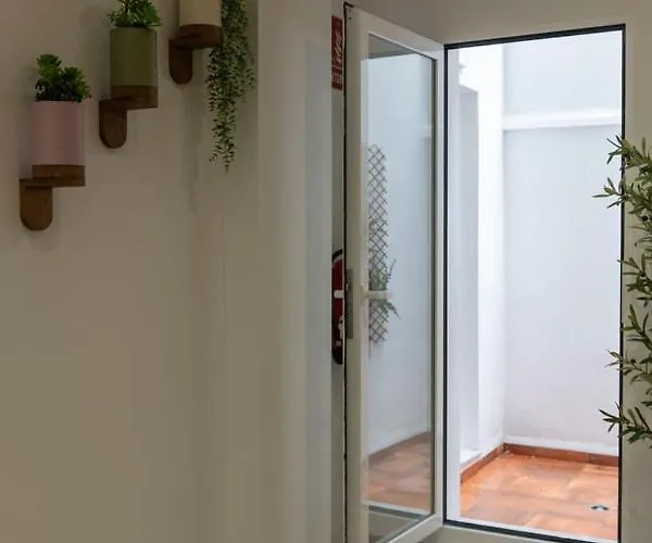 Vlc Host - Alfaro A * 발렌시아