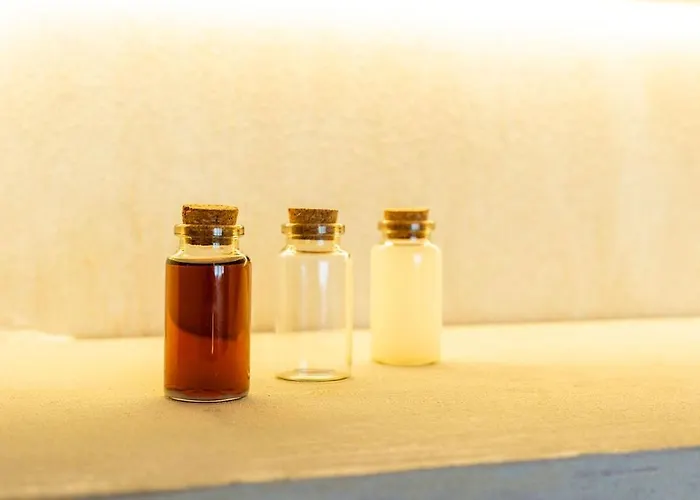 Nomad Haux Puerto 4* Валенсия