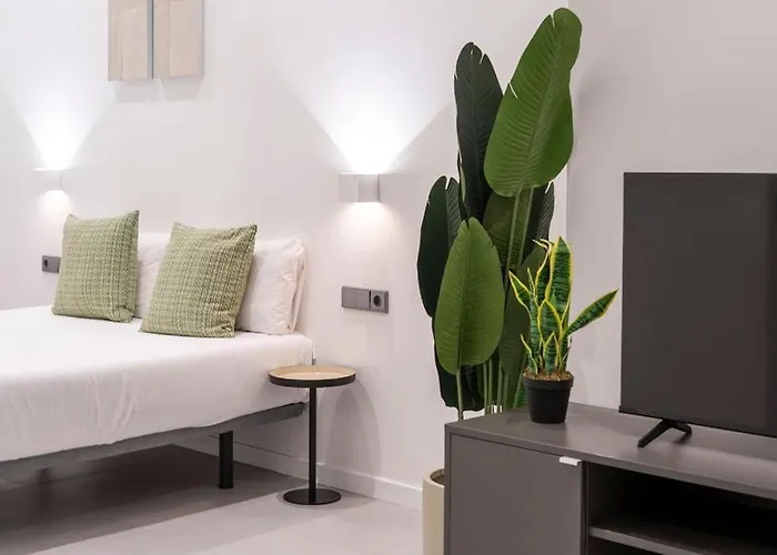 Vlc Host - Bellvis *